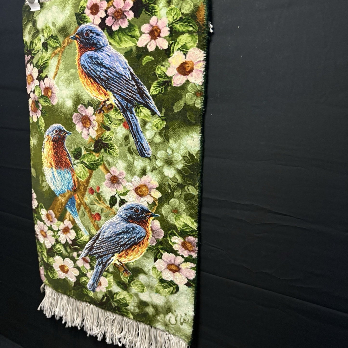 Persian Pictorial Rug Hand Knotted Birds 24”x16” 60X40cm 224KPSI w/Rug Hangers3