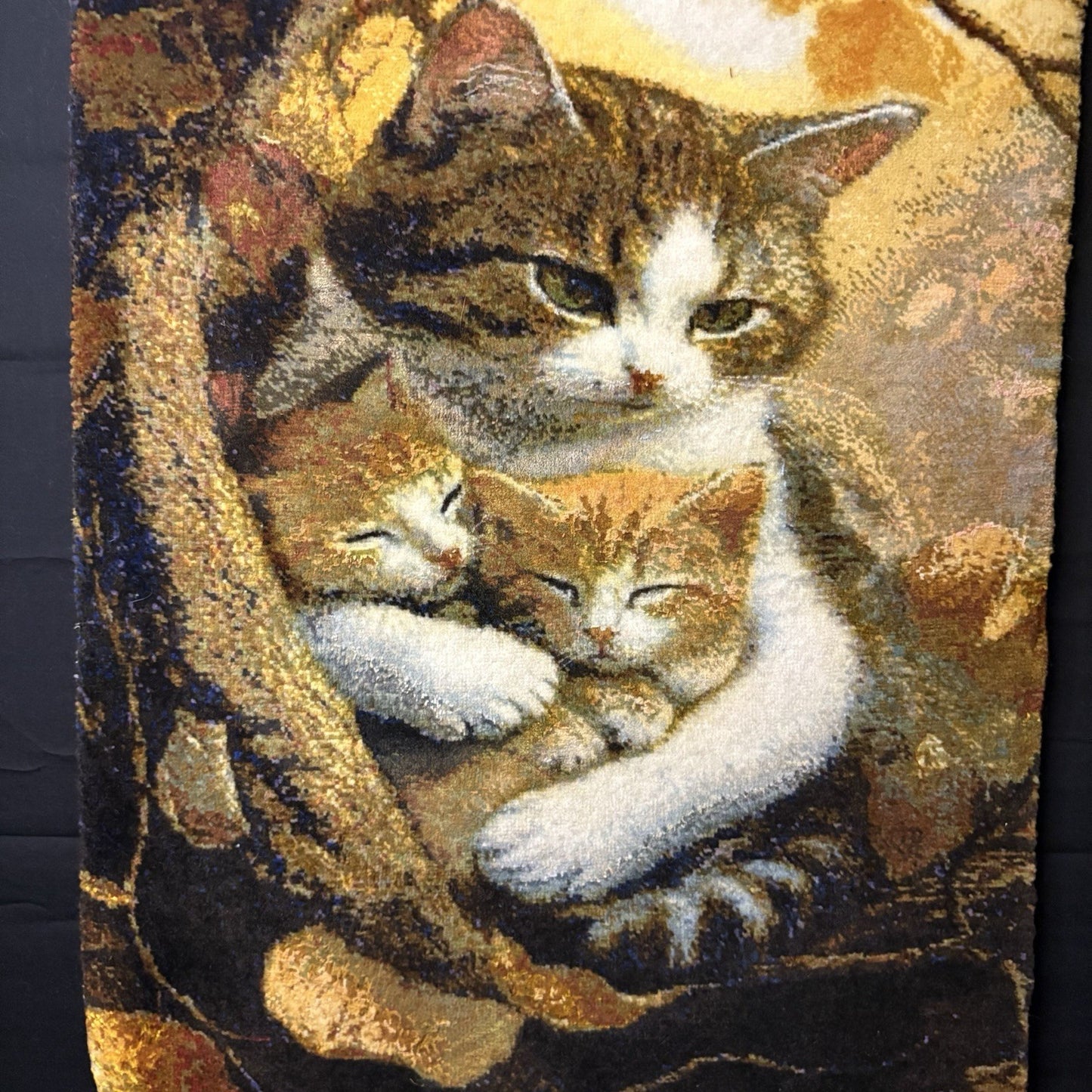 Pictorial Rug Kittens Hand Knotted w/Silk 289KPSI 25”x17” w/Rug Hangers7