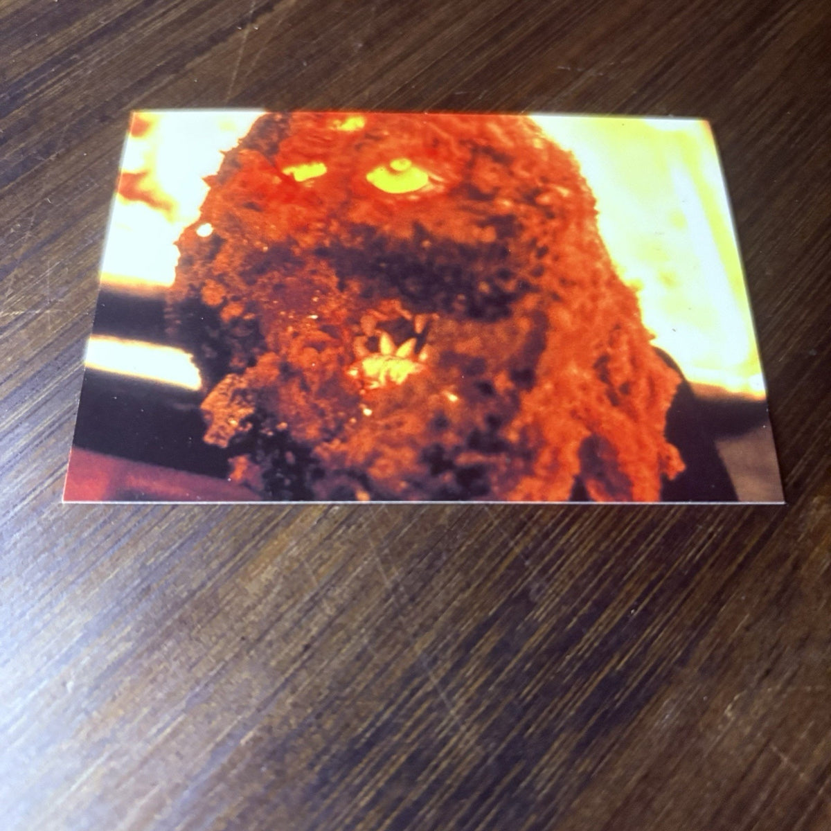1996 Goosebumps Creature #53 High Grade Topps Trading Card, See Photos