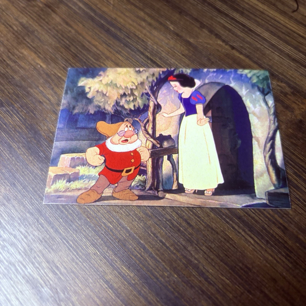 1993 Disney Snow White and the Seven Dwarfs Trading Card #45 Doc's Warning